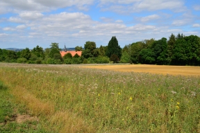KlosterWuelfinghausen_064